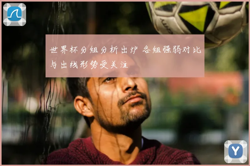世界杯分组分析出炉 各组强弱对比与出线形势受关注