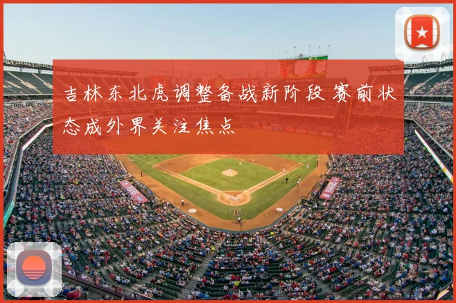 吉林东北虎调整备战新阶段 赛前状态成外界关注焦点