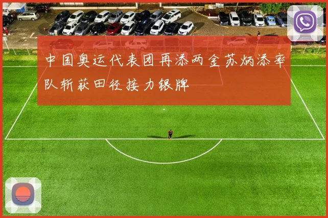 中国奥运代表团再添两金苏炳添率队斩获田径接力银牌