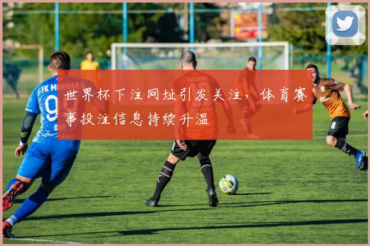 世界杯下注网址引发关注，体育赛事投注信息持续升温